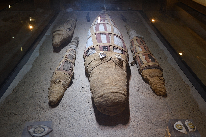 78 MAK_6420.jpg - Nelle vicinanze del tempio si trova un museo dedicato ai coccodrilli mummificati ritrovati nella zona.